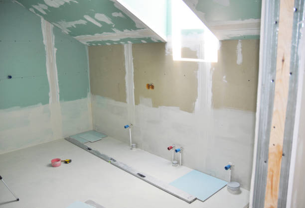 Best Crawl Space Mold Remediation  in Greenville, SC