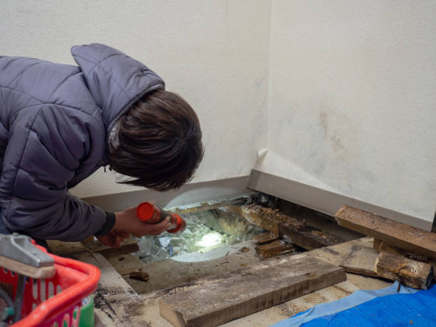 Best Mold Remediation for Healthcare Facilities  in Greenville, SC