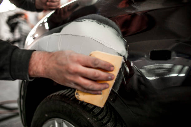 Best Mold Documentation for Insurance Claims  in Greenville, SC