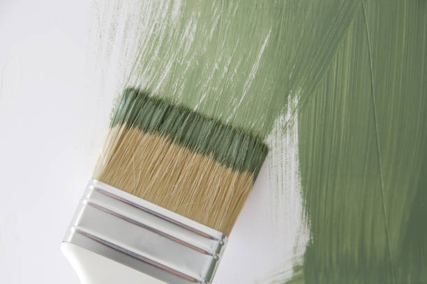 Best Attic Mold Removal  in Greenville, SC