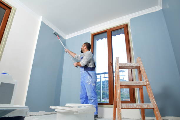 Best Emergency Mold Remediation  in Greenville, SC