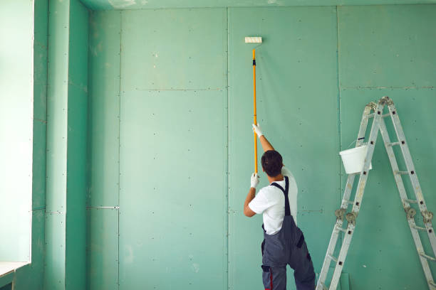 Best Post-Construction Mold Inspection  in Greenville, SC