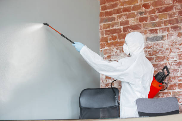 Best Biohazard Mold Removal  in Greenville, SC