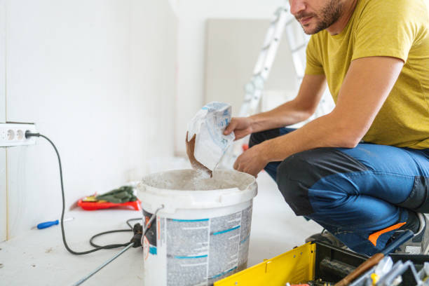 Best Asbestos and Lead Testing During Mold Inspection  in Greenville, SC