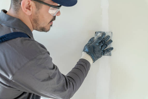 Best Residential Mold Inspection & Testing  in Greenville, SC