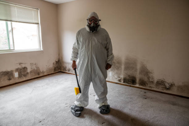 Best Industrial Mold Remediation  in Greenville, SC