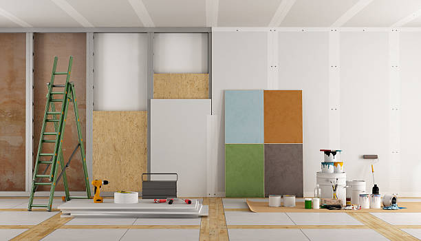 Best Mold Odor Removal Services  in Greenville, SC