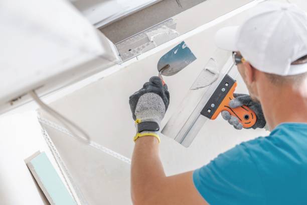 Best Mold Prevention Services  in Greenville, SC